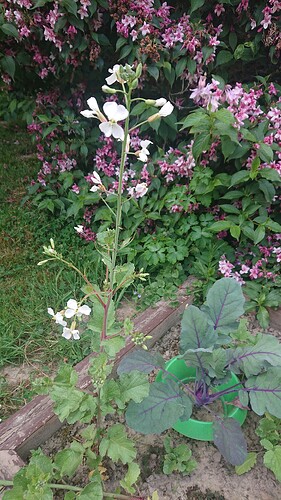 Growreport Bild 10
