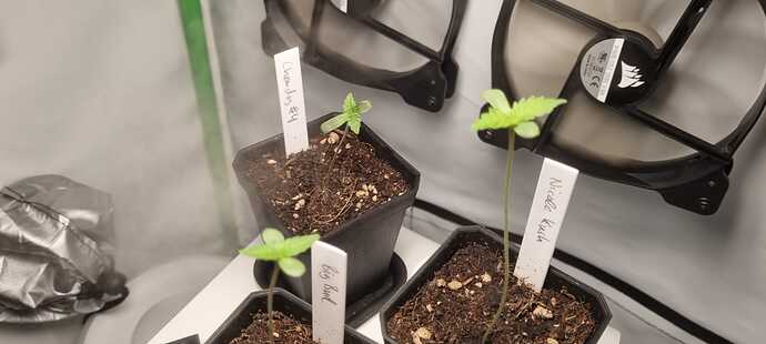 WhatsApp Image 2024-04-28 at 18.51.13