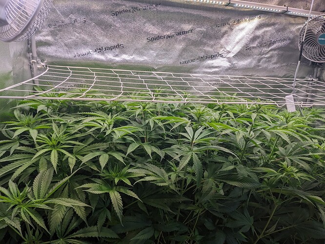 PXL_20240602_105916150