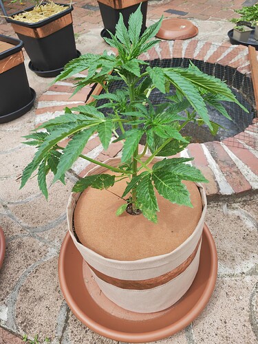 Growreport Bild 12