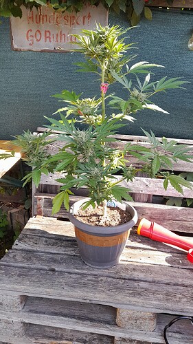 Growreport Bild 18
