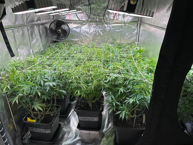 Growreport Bild 50