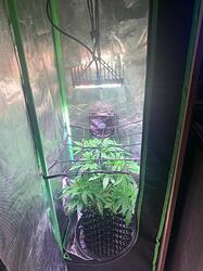 WhatsApp Bild 2024-12-10 um 16.30.39_d2ab40d9