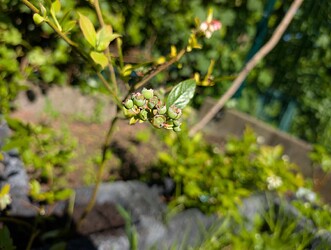 PXL_20250509_143418831