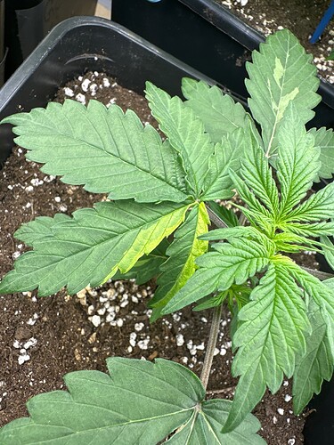 Growreport Bild 10