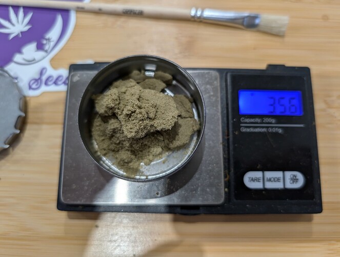 Growreport Bild 11