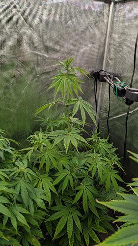 Growreport Bild 10