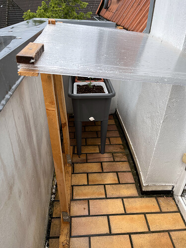 Growreport Bild 46