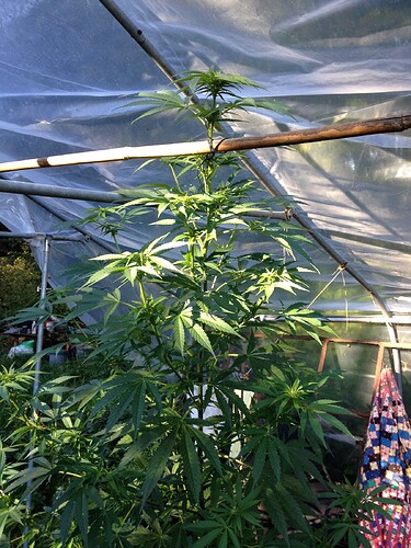 Grow24_0921_05