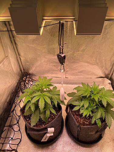 Growreport Bild 12