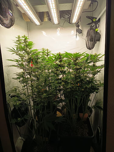 Growreport Bild 18