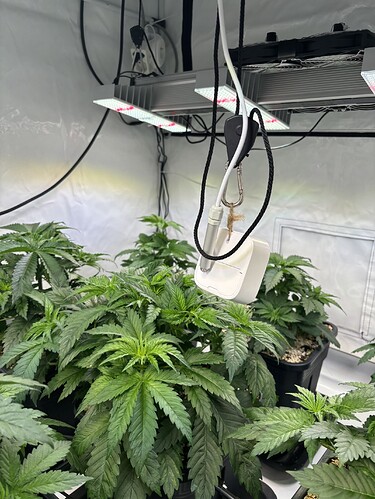 Growreport Bild 33