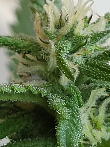 Growreport Bild 15