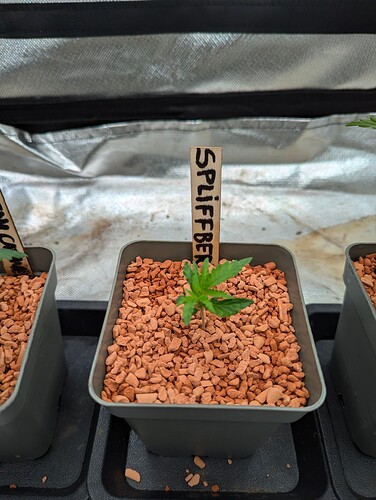 Growreport Bild 4