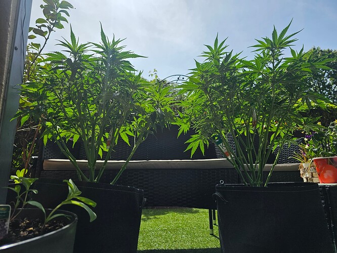 Growreport Bild 6