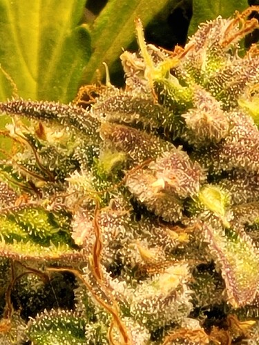 Growreport Bild 22