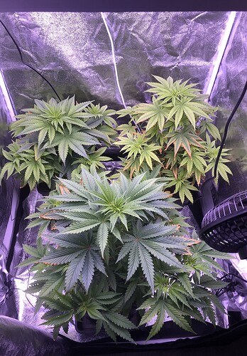 Growreport Bild 5