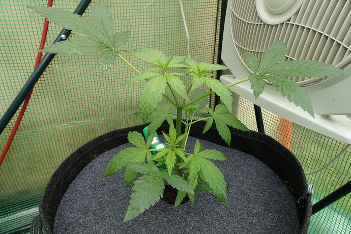 Growreport Bild 10