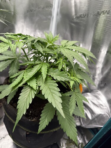 Growreport Bild 17