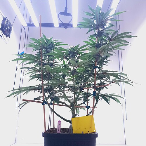 Growreport Bild 14