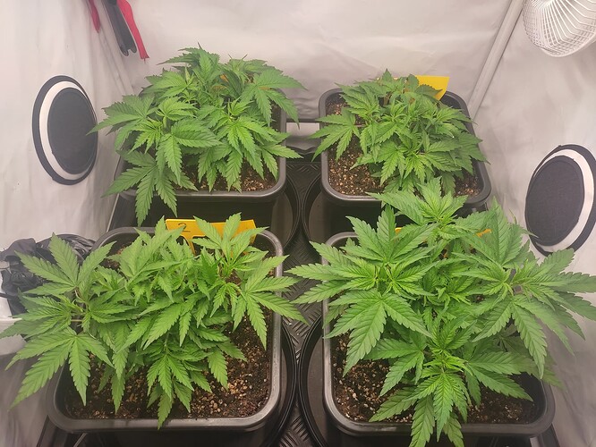 Growreport Bild 14