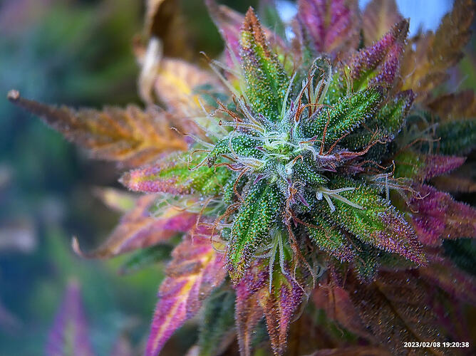 Growreport Bild 12