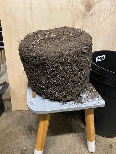 Growreport Bild 24