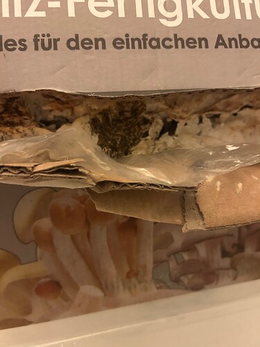 Growreport Bild 56