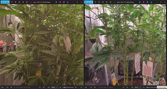 Growreport Bild 8
