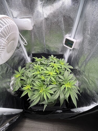 Growreport Bild 26