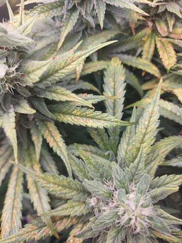 Growreport Bild 12