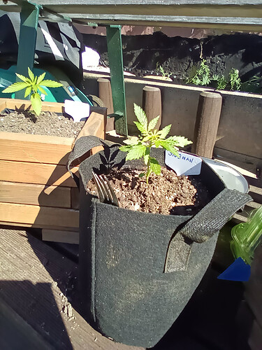 IMG_20240515_095716_5