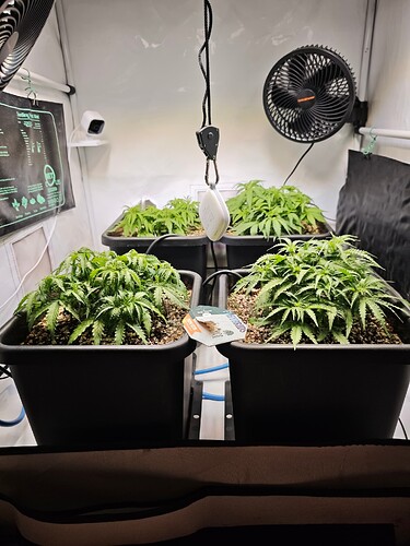 MVIMG_20251013_172618