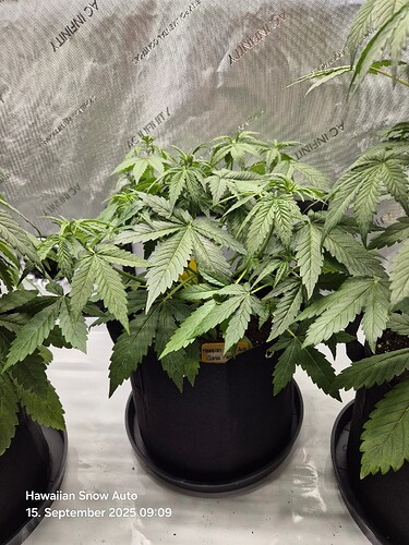Growreport Bild 10