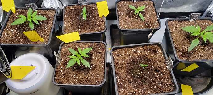 WhatsApp Image 2025-11-28 at 22.49.58 (3)