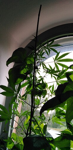 Growreport Bild 2