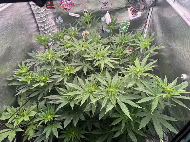 Growreport Bild 4