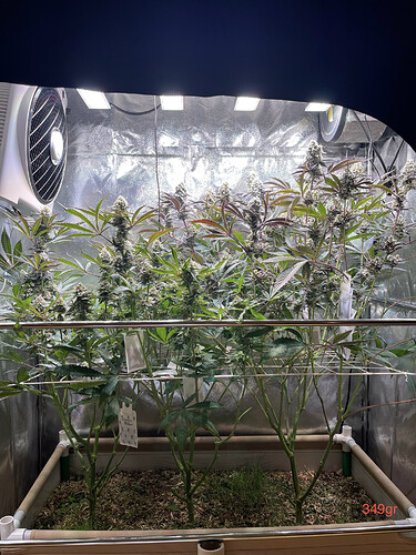 Growreport Bild 12