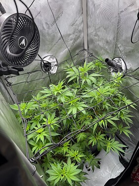 Growreport Bild 19