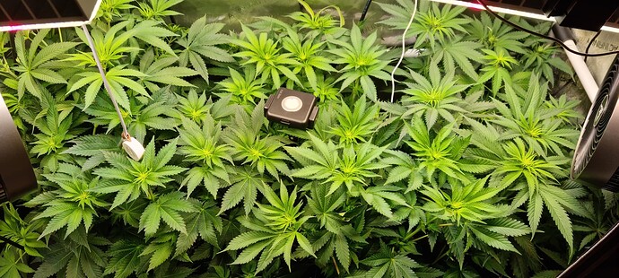 Growreport Bild 21