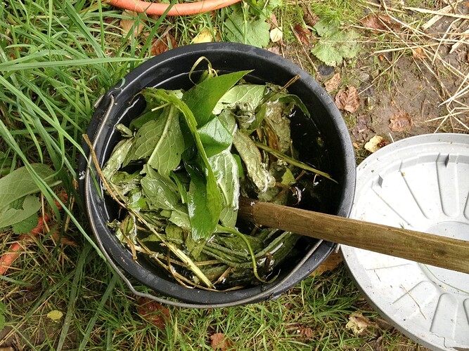Growreport Bild 33