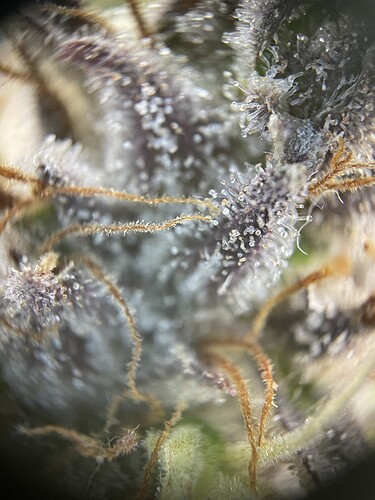 Growreport Bild 23