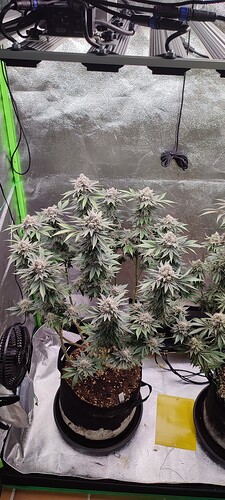 Growreport Bild 12