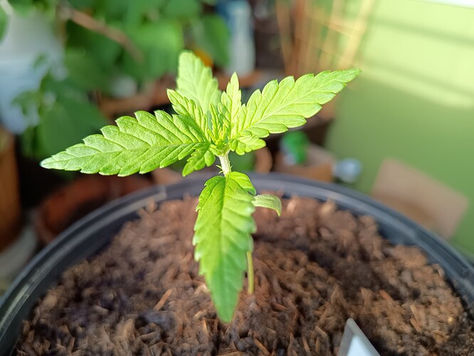 IMG_20240430_190021796