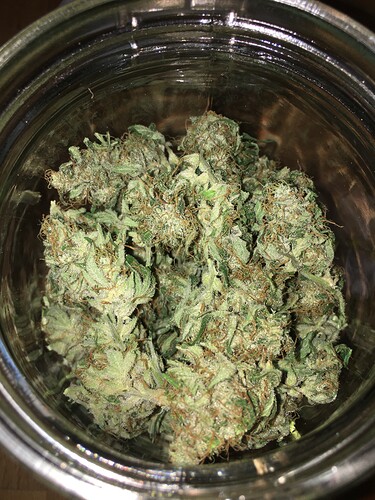 Growreport Bild 14
