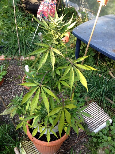 Grow24_0921_03
