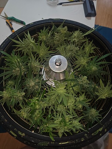 Growreport Bild 14