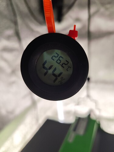 Growreport Bild 12