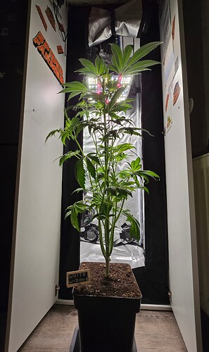 Growreport Bild 10