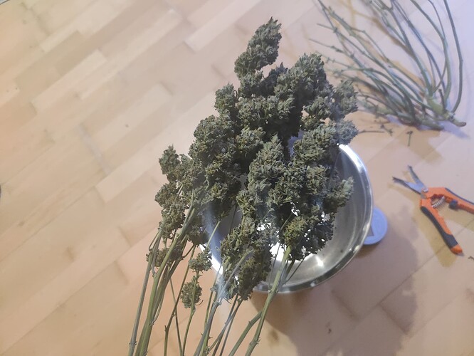 Growreport Bild 18